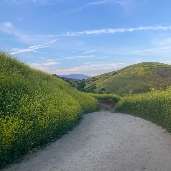 Meet your Posher, Gladys - Picture 1 of 1